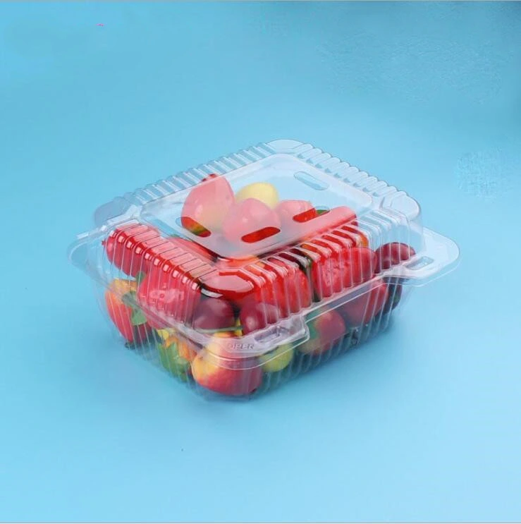 wholesale factory PET Fruit and vegetable Food Container with EU regulation